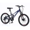 Mountain Bike for Girls and Boys Mountain 20 inch shimano 7-Speed bike